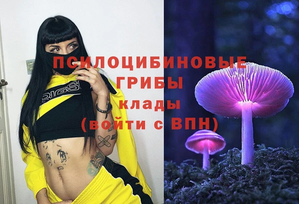 Альфа ПВП Армянск