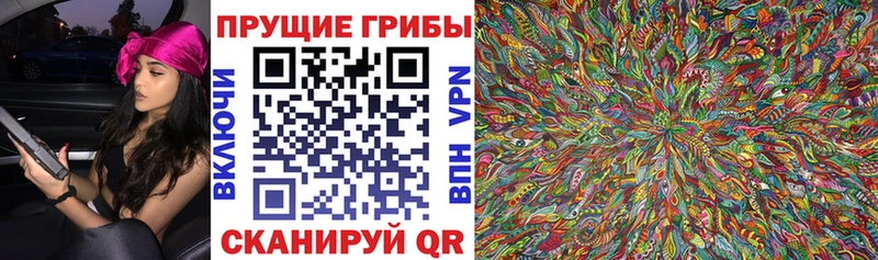 Купить закладки  Белая Холуница  Псилоцибиновые грибы прущие грибы 